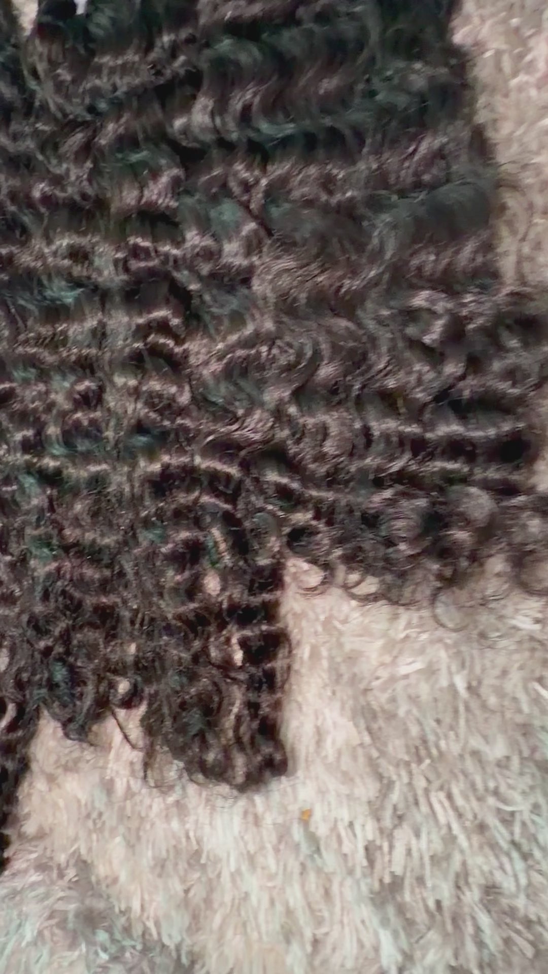 Signature Curly